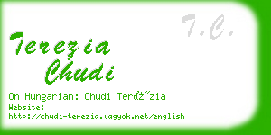 terezia chudi business card